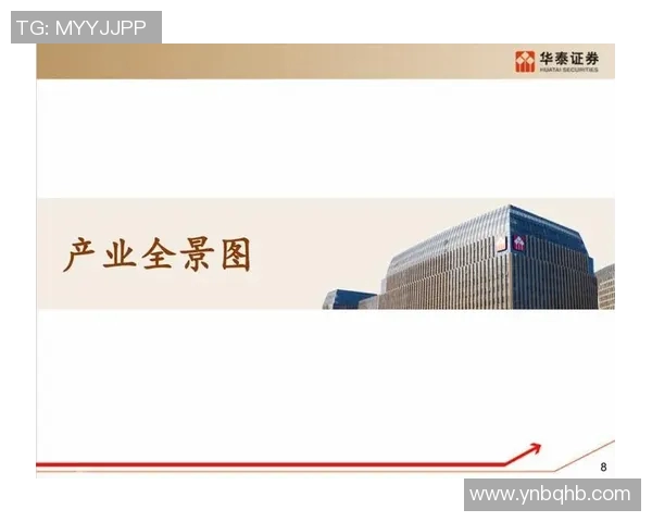 重庆篮球队包夹战术的创新与发展全景解析