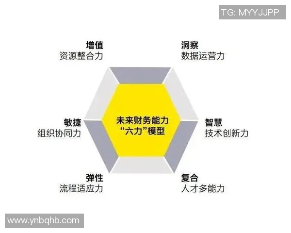 里耶卡与社会推荐的深度对比分析与未来发展趋势探讨