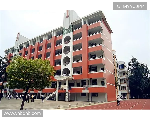成都篮球队实力强劲荣登全国个人能力排行榜第六位MBA